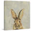 «What Up Rabbit II», reproduction sur toile tendue-27175476