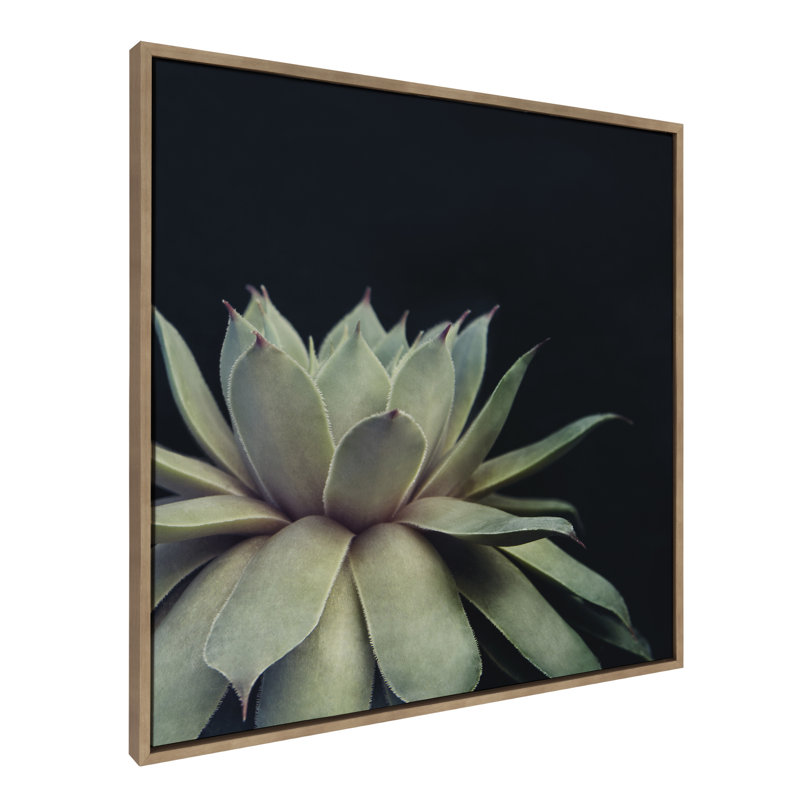 «Succulent 8» par Emiko et Mark Franzen, reproduction d'art sur toile encadrée, H 30 po x l 30 po, Doré
