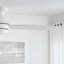 Rivers Ceiling Fan with LED Lights-2139559751-2118113040