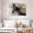 Brampt Magnificent Zebra-108155962