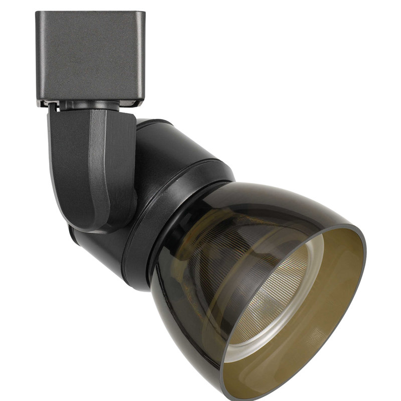 LED Adjustable Track Head, Smoke Clear, Brushed Steel