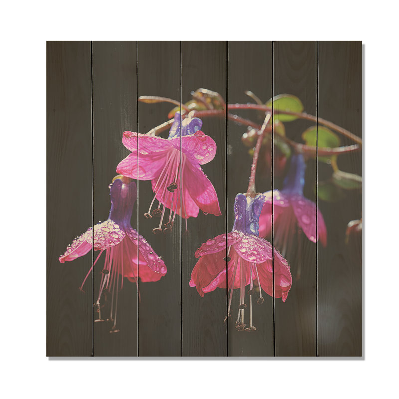 Fleurs de pétales roses et mauves - fuchsia sur bois, H 15 po x l 15 po