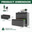 File Cabinets, 2 Drawer Lateral File Cabinet with Lock, for Home Office, Fits Letter/Legal/A4 Hanging Files, Black | Steel | Modern-102151060