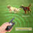Dog Training Collar
