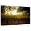 Alvord Oakville Vineyard-107685205