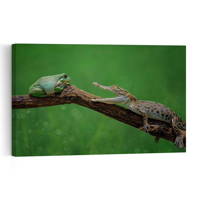 Frog Meets Crocodile Contemporary Crocodile Frog Wall Art Print by Edy Pamungkas - Print, 30.48cm H x 45.72cm W