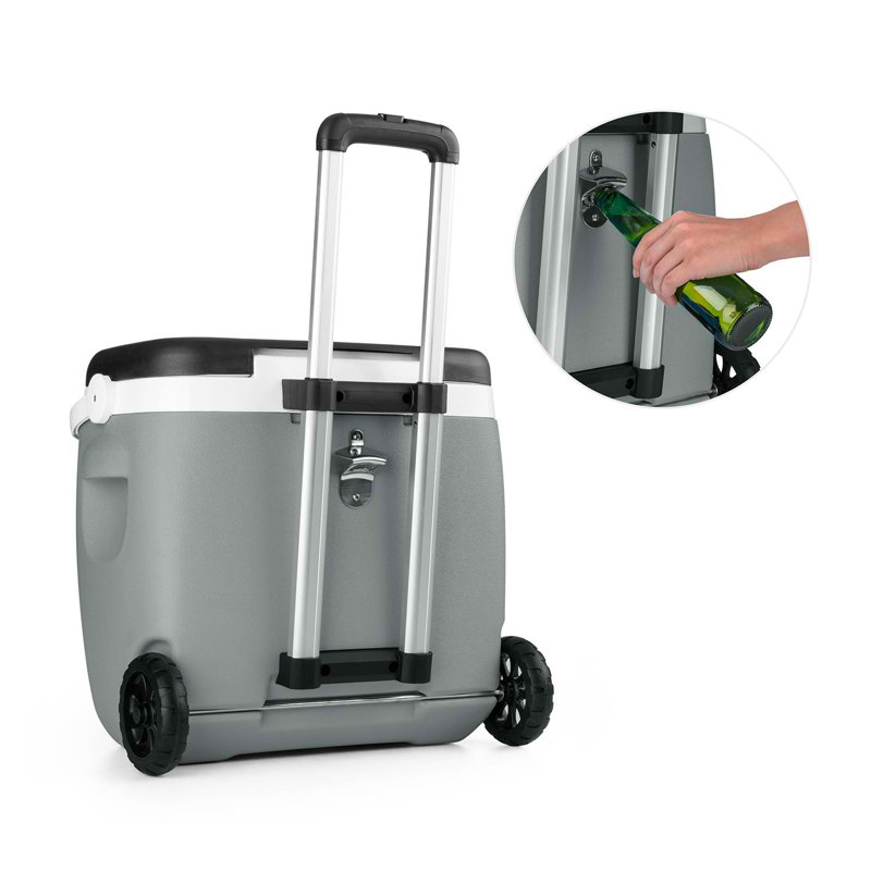 Auna Picknicker Music Trolley Cooler, Grey