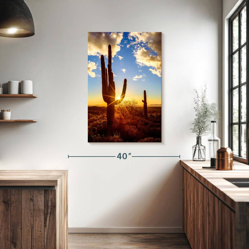 Parc national Aime Saguaro Est V, H 39 po x l 26 po