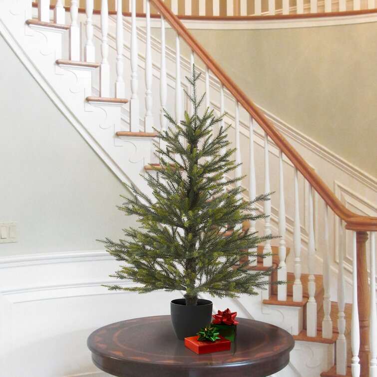 The Holiday Aisle® 3' Artificial Pine Christmas Tree with Realistic Needles  Stand Included Wayfair