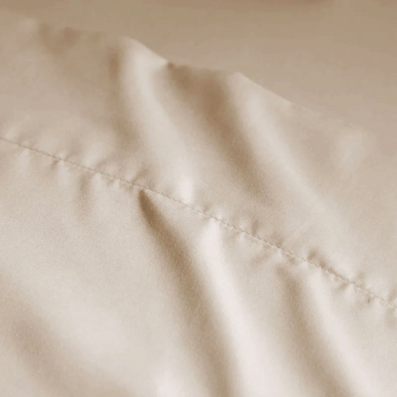 Ensemble de draps en microfibre douce 1800 Series Wayfair Basics®, Ensemble de draps pour grand lit avec 4 taies d'or, Crème