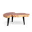 Solid Wood Coffee Table