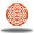 Corail