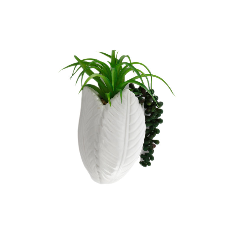 Calvillo Ceramic Wall Planter
