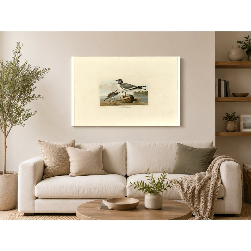 Goéland à la fourche, plaque 285 - paysage, art mural sur toile, L 18 po x H 12 po