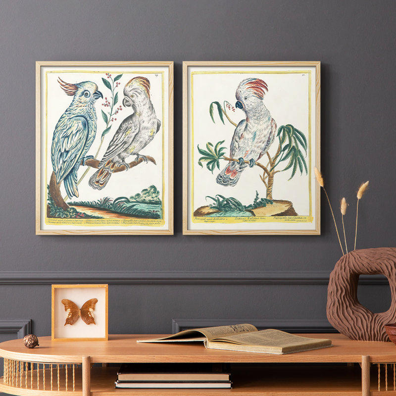 «Pastel Birds I», reproduction encadrée de qualité supérieure - prête à être accrochée - aucun clou requis - aucun clou requis