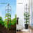 Lylo 70" H x 13" W Obelisk Trellis Plastic with Metal Pipe Core