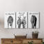 Elephant Bum - ensemble de 3 impressions sur toile tendue-1001542889
