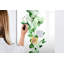 Magnetic Glass Dry Erase Board