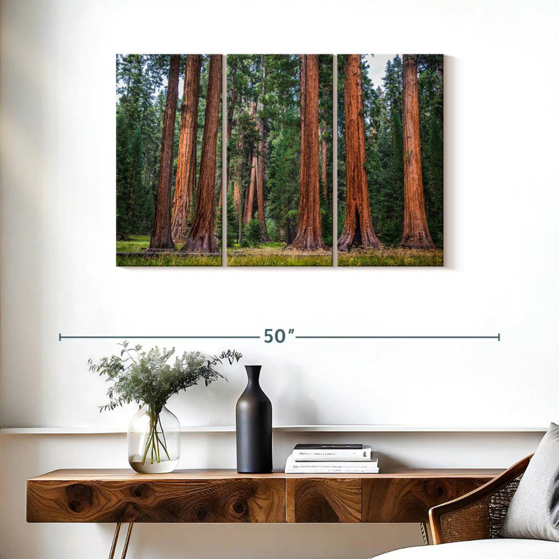 Harnek superbe Sierra Redwoods, H 24 po x l 38 po