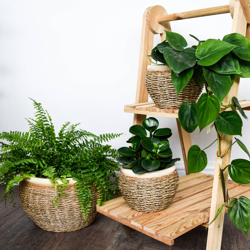 Seagrass Pot Cover - Natural - Nested set of 2