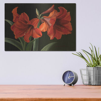 " Amaryllis " by Christopher Pierce