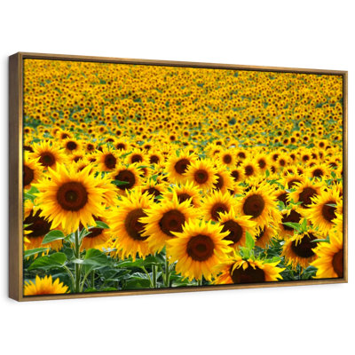 Alvord Endless Sunflower Field