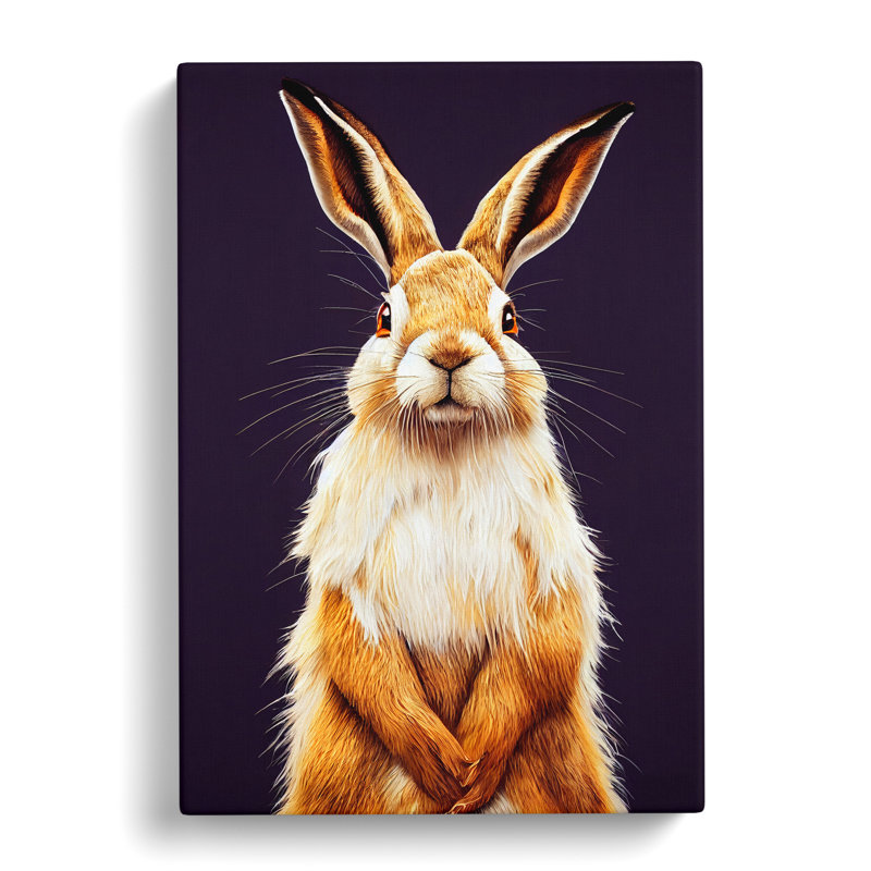 Splendid Hare - Wrapped Canvas, 50cm H x 35cm W x 3cm D