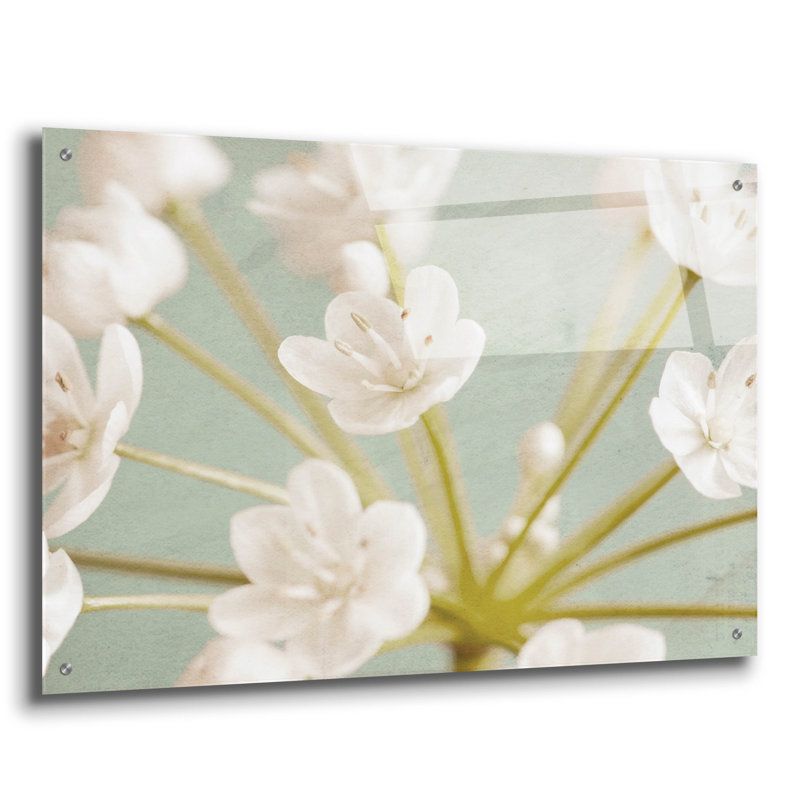 Epic Art «Little White Flowers On Blue» par Tom Qua «Little White Flowers On Blue» par Tom Quartermaine