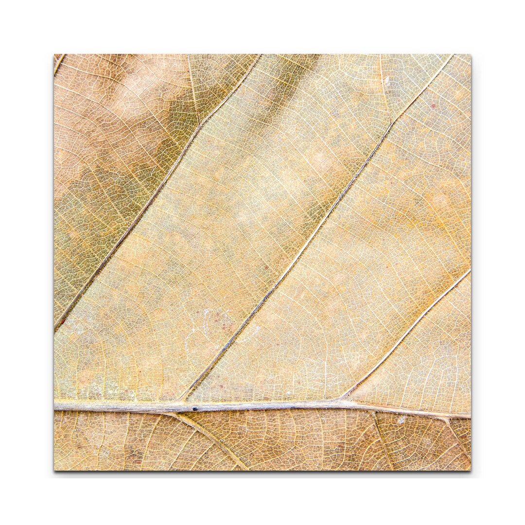 Leinwandbild Trockenes Blatt Textur Nahaufnahme