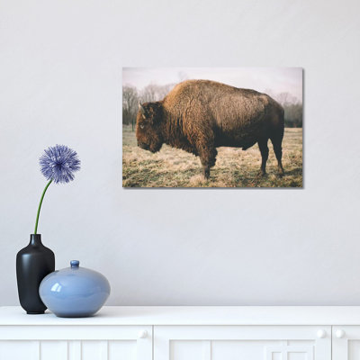 Solitary Bison V by Adam Mead - Wrapped Canvas Gallery-Wrapped Canvas Giclée