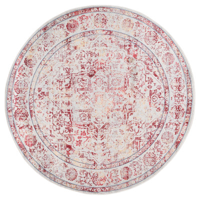 Oriental Light Gray/Ivory Area Rug