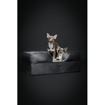 Noah & Paw Giant Dog Bed XXL,  Orthopedic Dog Beds, Eggshell Memory Foam Infused with Cooling Gel, Inner Cover, Waterproof, Machine Washable (Velvet Sofa Collection)
