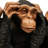See/Hear/Speak No Evil Monkey Family Statue