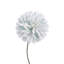 Woolwich Arrangement-1029377475