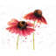 Napperon brun romantique en polyester - Deux marguerites roses