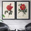 «Red Botanical III», ensemble de 2 reproductions d'art sur toile encadrées-61455405-61455413