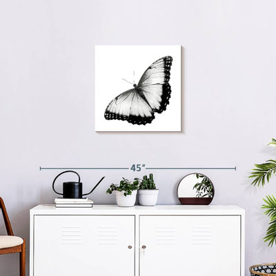 " Monochromatic Butterfly " by Emma P
