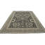 Performance Wool Oriental Indoor Rug