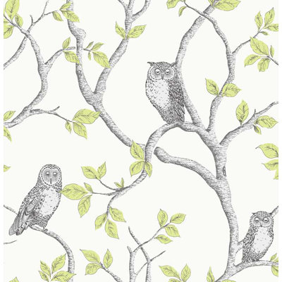 Winston Owl 33' x 20.5" Wallpaper Roll