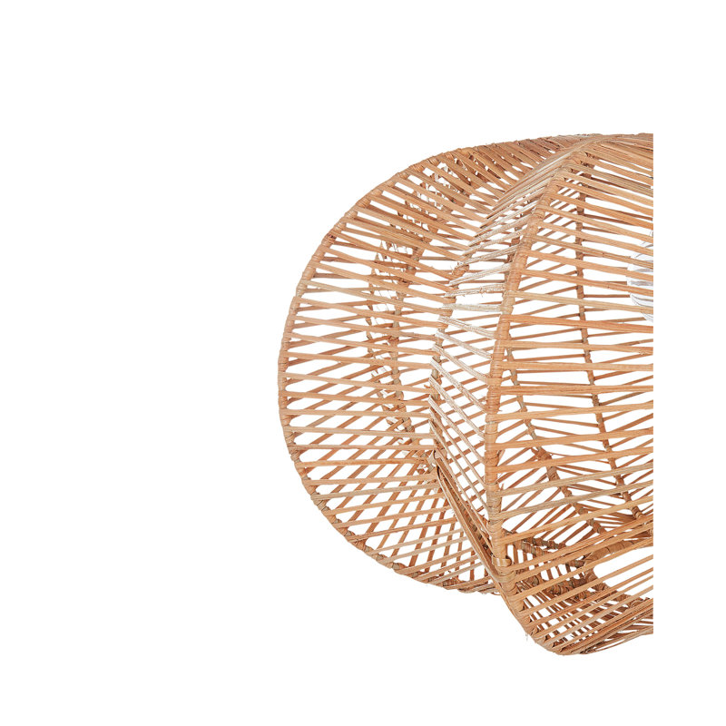 Annamae 1 - Light Natural Novelty Pendant