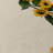 Conness Washable Floral Indoor / Outdoor Rug-158576161