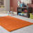 Renesha Indoor Rug-1168436459