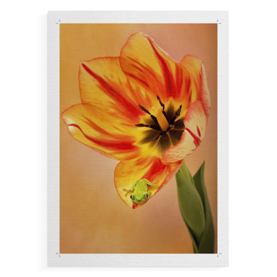 Hanging On VI -Canvas Print Only - NOT FRAMED