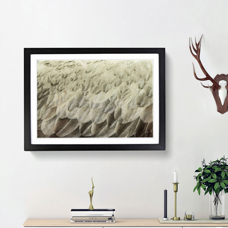 Feathers - Picture Frame Graphic Art Print, 50cm H x 76cm W x 2cm D, Black