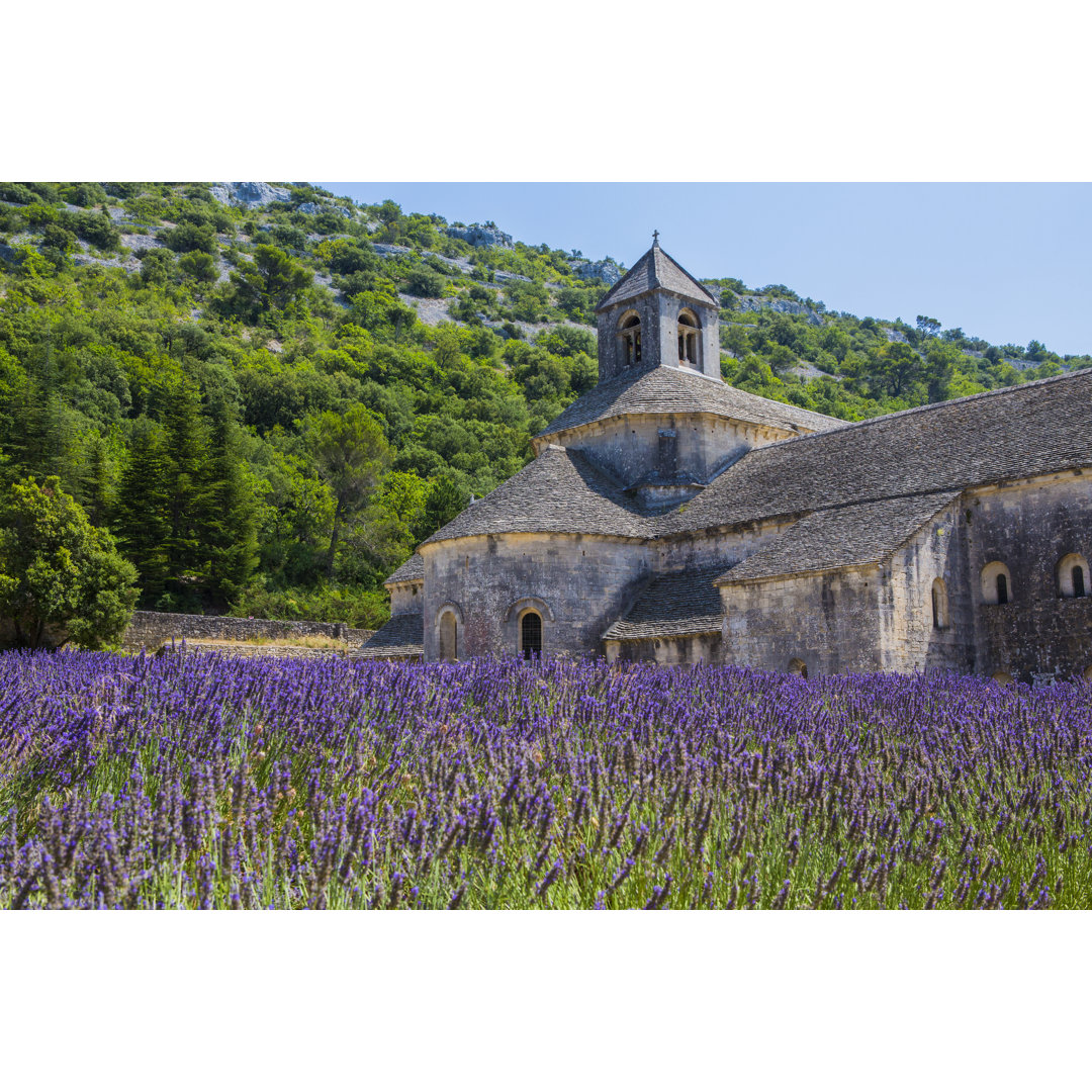 Provence - Drucken