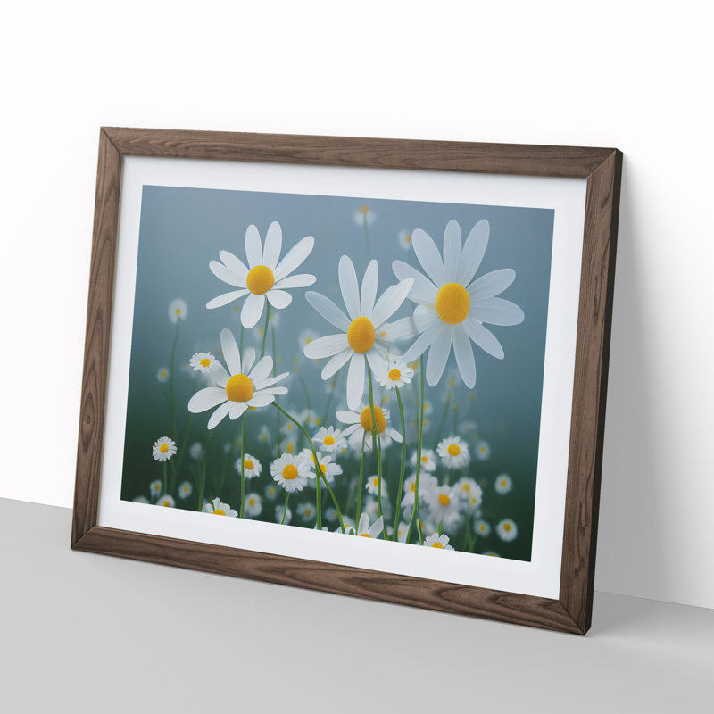 XH1022-9683X Vivacious Daisy Flowers - Single Picture Frame Print, 34cm H x 46cm W, Walnut