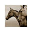 True Confidence Print by Sofia Fox-26706435-26706441