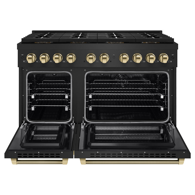 ZLINE Autograph 48 in. Paramount DuoPro Dual Fuel Range in Black Steel with Polished Gold Handles, Polished Gold