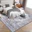 Area Rug-1964990562