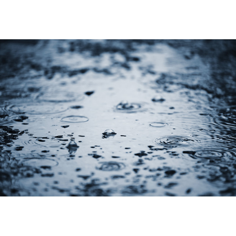 Rain Drops - Photographie sur toile tendue, H 8 po x l 12 po